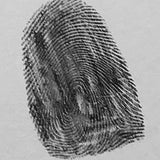 925 Silver | Custom Fingerprint Necklace