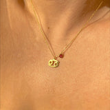 925 Silver | Birthstone Zodiac Symbol Necklace