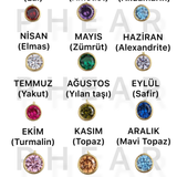925 Silver | Birthstone Zodiac Symbol Necklace