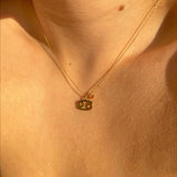 925 Silver | Birthstone Zodiac Symbol Necklace