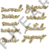 925 Silver | Personalized 3D Handwriting Necklace with Stone Detail